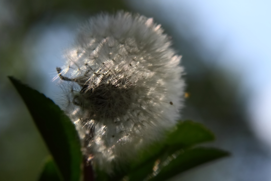 2012 05 10 2321